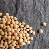 Thịt trong bữa ăn chay, bạn có biết?